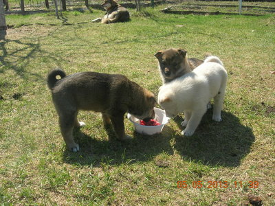 DSCN0293.JPG