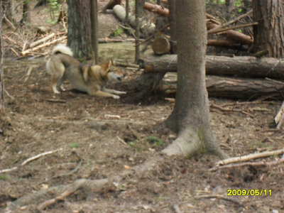 SDC13446.JPG