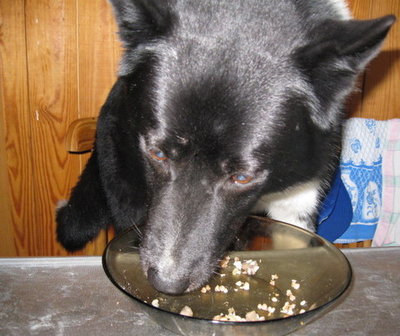 IMG_1655.JPG