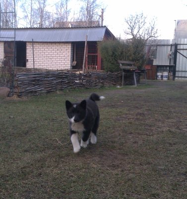 IMAG0269.jpg