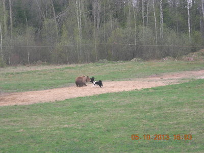 DSCN0360.JPG