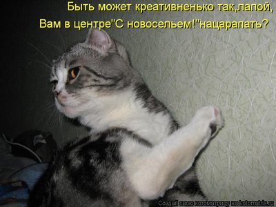 kotomatritsa_gB.jpg