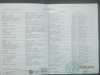 getImage (1).jpg