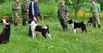 DSC_0438.JPG