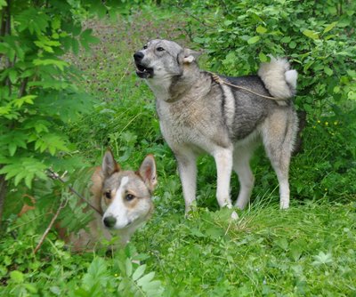 DSC_0473.JPG