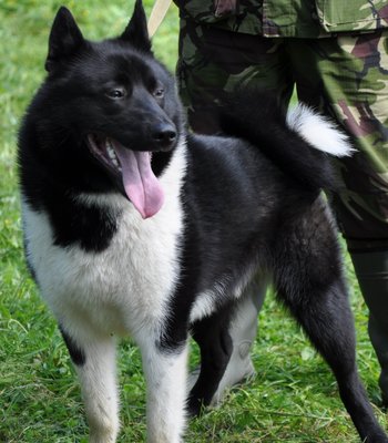 DSC_0540.JPG