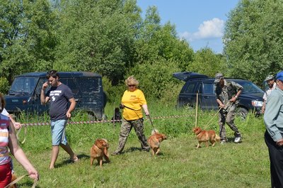DSC_0102.JPG
