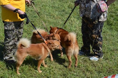 DSC_0121.JPG