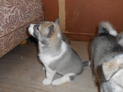 DSCN4272.JPG