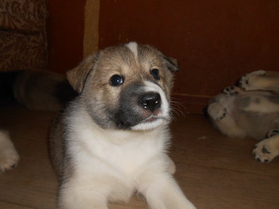 DSCN4273.JPG
