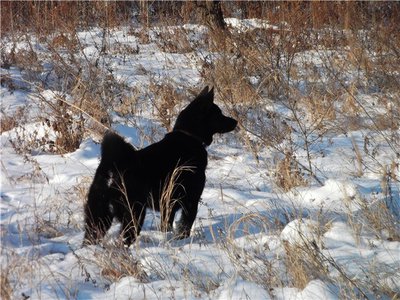 3210038c0d43[1].jpg