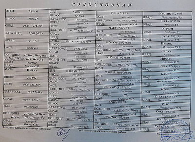 А+Н род..JPG