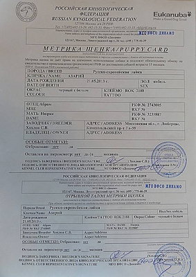 А+Н метр..JPG