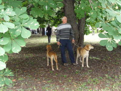 DSC05237.JPG