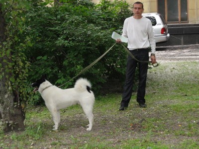 DSC05242.JPG