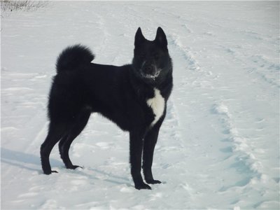 208558451500[1].jpg