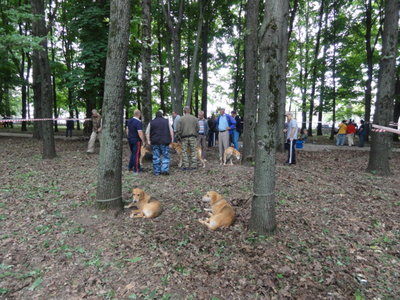 DSC05248.JPG