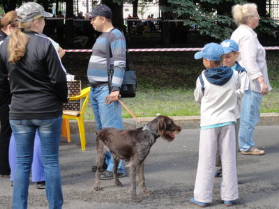 DSC05275.JPG