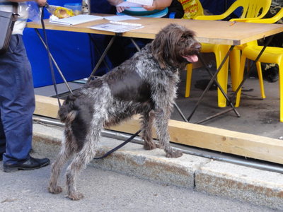 DSC05284.JPG