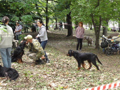 DSC05304.JPG