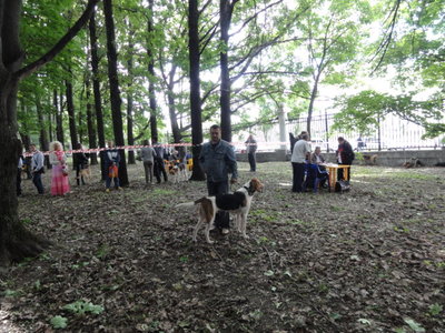 DSC05322.JPG