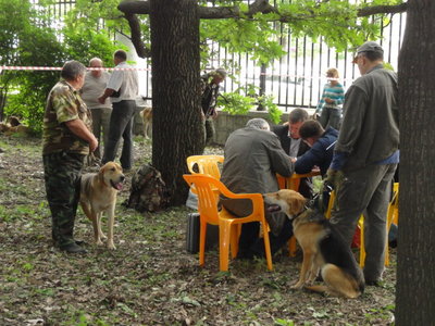 DSC05325.JPG