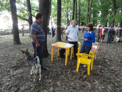 DSC05333.JPG