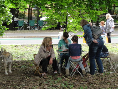 DSC05345.JPG