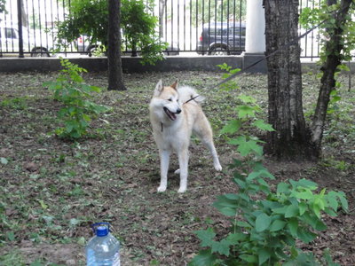 DSC05349.JPG