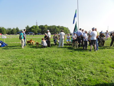 DSC05614.JPG