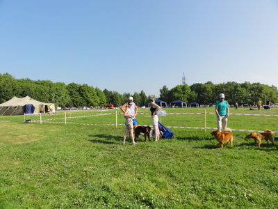 DSC05615.JPG