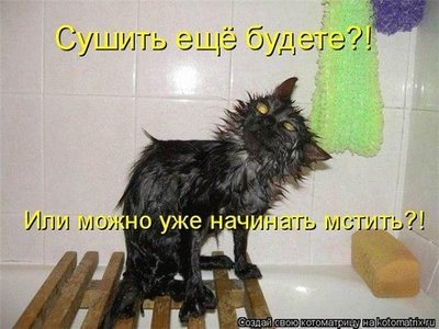 123.jpg