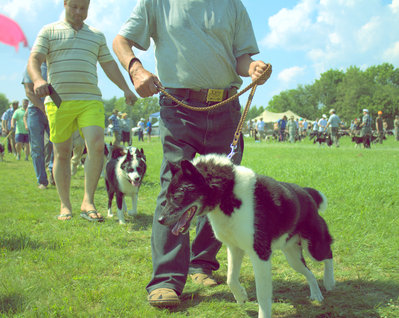 IMG_3499.CR2.jpg