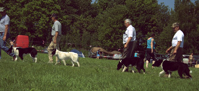 IMG_3513.CR2.jpg