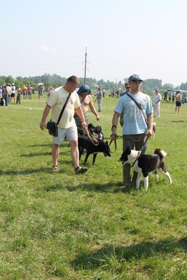 IMG_7848.JPG