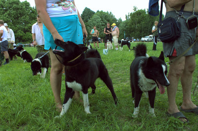 IMG_3643.CR2.jpg