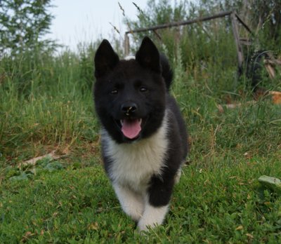 Руся 1111111.JPG