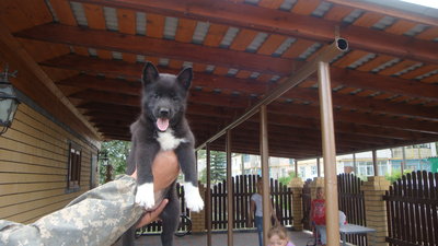 DSC02833.JPG