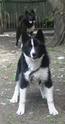 IMG_5875.JPG