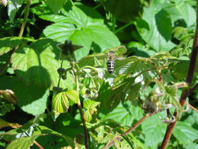 DSC05039.JPG