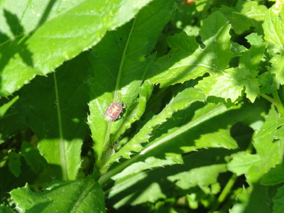 DSC05169.JPG