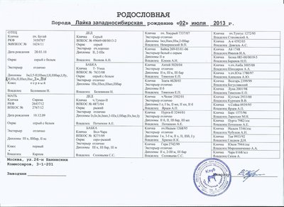 Scan0031.jpg