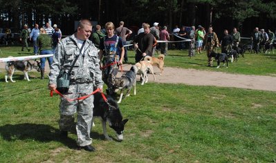 DSC_0050.JPG