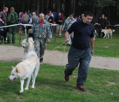 DSC_0059.JPG