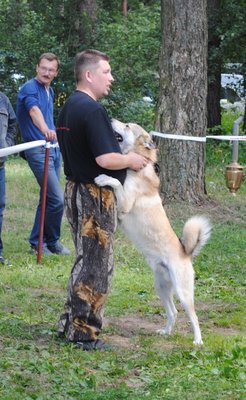 DSC_0107.JPG