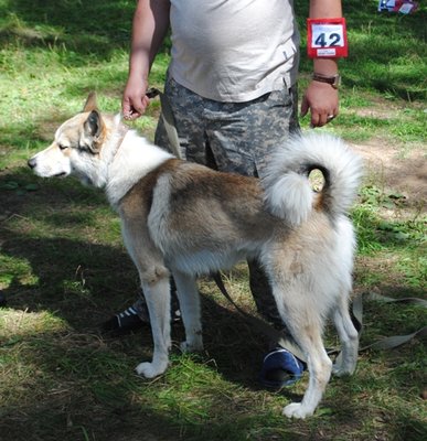 DSC_0153.JPG