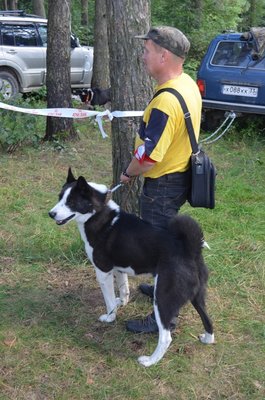DSC_1213.JPG