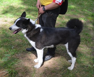 DSC_1279.JPG
