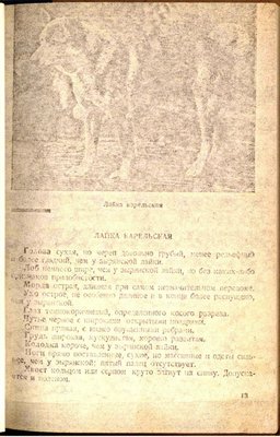 карельская 1925.jpg