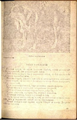 карельская 1925.jpg